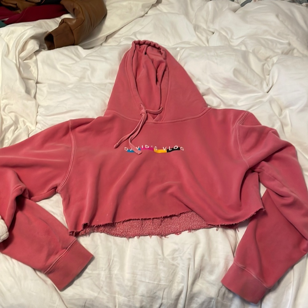 Pink David Dobrik hoodie
